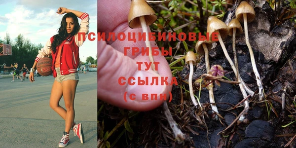 mix Алексин