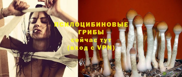каннабис Абаза